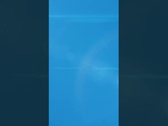 Элегантная яичная ювелирная коробка с бархатной подкладкой